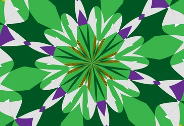 fiori #25