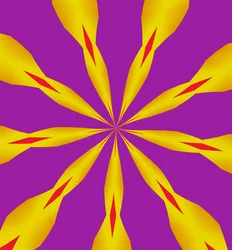 Fiori #7