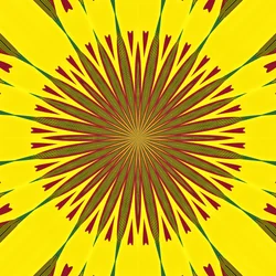Geometria, 2019