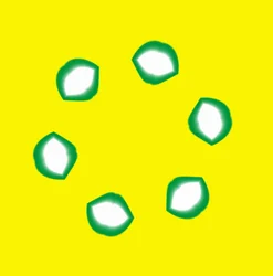 Labbra
