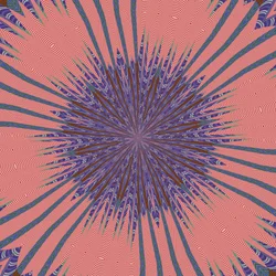 Simmetria #34