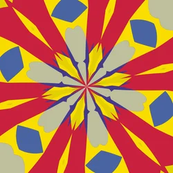 simmetria #45