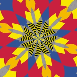 Simmetria #6