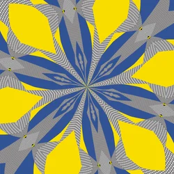 simmetria #8