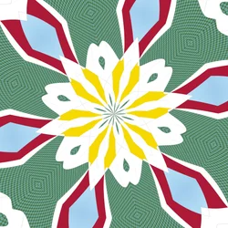 Ninfea
