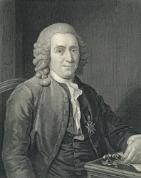 Ritratto di Carolus Linnaeus