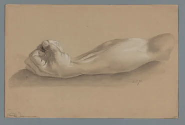 Modello in gesso di un braccio con pugno chiuso