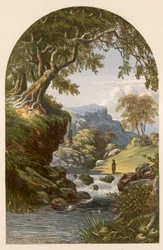 Illustrazione per 