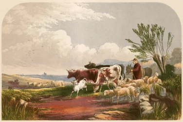 Illustrazione per 