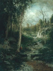 Una Vecchia Radura