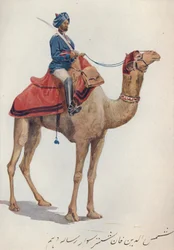 Un cammelliere del 10° Lancieri del Bengala, c1880