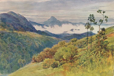 Nebbie mattutine nella valle del Mahawelli Gangha, c1880 1905