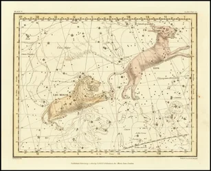 1822 - Alexander Jamieson - Lince e Leone minore