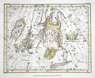 Le costellazioni (Tavola VIII) Corona Boreale, Ercole e Cerbero, Lira, da 