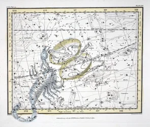 Le costellazioni (Tavola XIX) Bilancia e Scorpione, da 