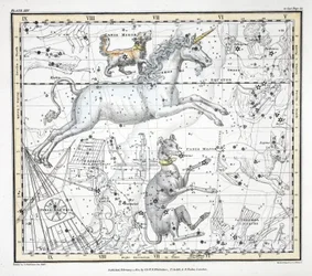 Le costellazioni (Tavola XXV) Canis Major, Canis Minor, Monoceros, Argo Navis, l
