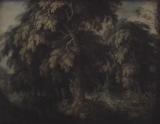 Paesaggio boscoso