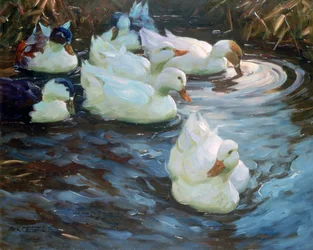 Anatre su uno stagno, circa 1884-1932