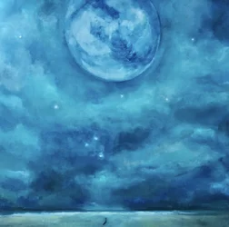 Solo nel cielo notturno