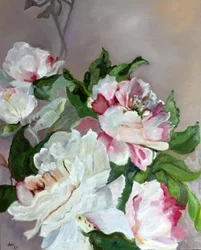 Peonie rosa e bianche