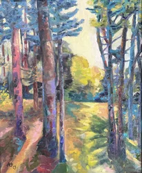 Sentiero nella foresta illuminato dal sole