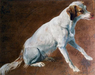 Antenato dello spaniel francese, di Alexandre-François Desportes (1661-1743), Francia