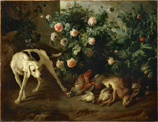 Cane da guardia vicino a un cespuglio di rose - Chien gardant du gibier aupres d