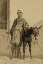 Un guidatore di culi