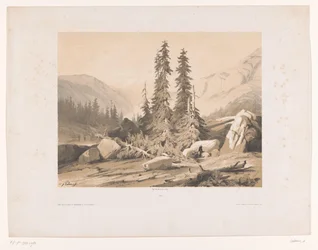 Paesaggio montano con abeti e capre di montagna