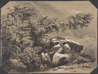 Foreste e montagne