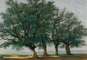 Quattro grandi alberi