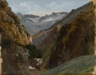Valle alpina nelle Alpi bernesi