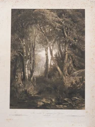 Paesaggio