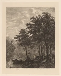 Alberi lungo un fiume