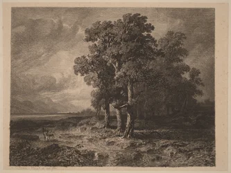 Alberi nella tempesta