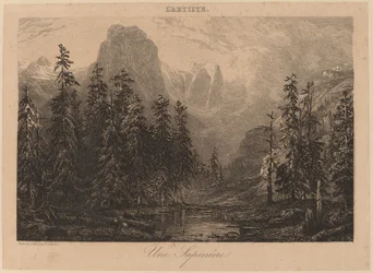 Una Pineta