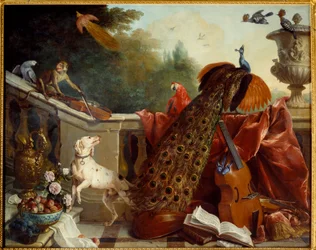 Animali, fiori e frutti