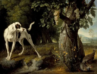 Paesaggio con un cane e pernici, 1719