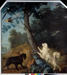 Merluzine e Cocoq, i cani di Luigi XIV
