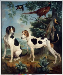 Pompee e Florissant, i cani di Luigi XIV (1638-1715). Dipinto di François Desportes (1661-1743)