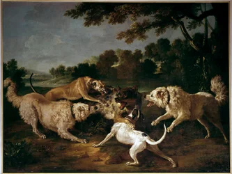 La caccia al lupo, dipinto di François Desportes (1661-1743)