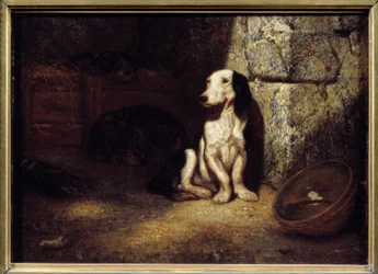 Basset hound bianco e nero nella cuccia. A lato, una ciotola piena d