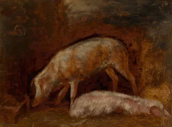 Studio di maiali, 1850-60