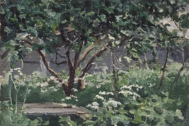 Un angolo del giardino