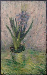 Giacinto