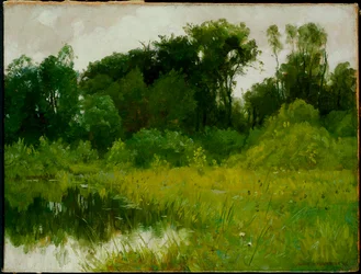 Dopo la pioggia, sul Minnehaha Creek