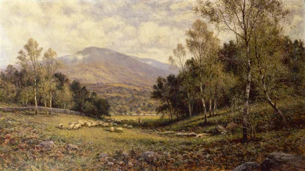 Vicino a Betws-y-Coed