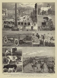 Una mostra agricola sudafricana, Port Elizabeth, Colonia del Capo