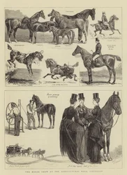 La mostra di cavalli alla Agricultural Hall, Islington