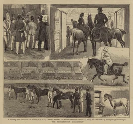 Lo spettacolo equestre metropolitano